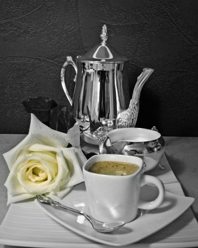 Morning Coffee Rose BW w Color