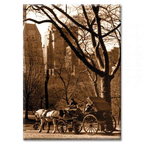 ID-7005 Carriage Ride in Central Park