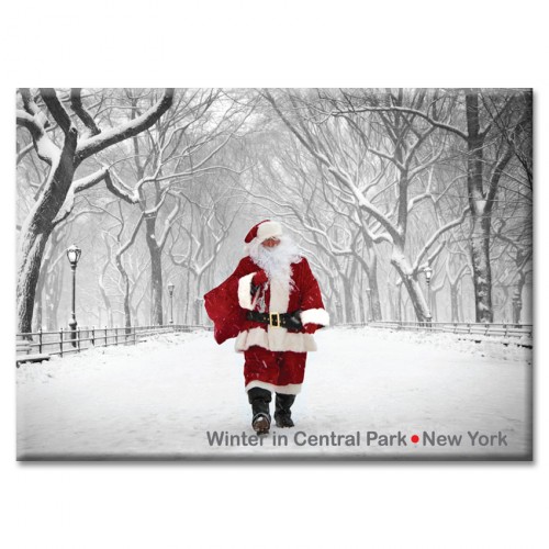 ID-7864 Santa in Central Park