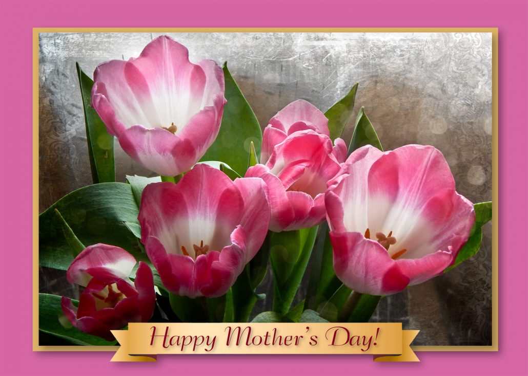 LM7020HappyMothersDayCardPinkTulips Art Photo  Studio