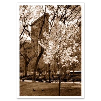 # MP-1017<br>Spring at Madison Square Garden Sepia