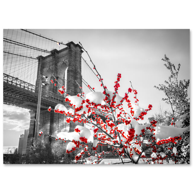 BMC-3306 Brooklyn Bridge Snow BMC-3306 Brooklyn Bridge Snow