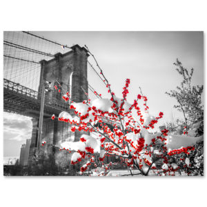 BMC-3306 Brooklyn Bridge Snow BMC-3306 Brooklyn Bridge Snow