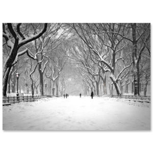 BMC-3314 Poet Walk Central Park BMC-3314 Poet Walk Central Park