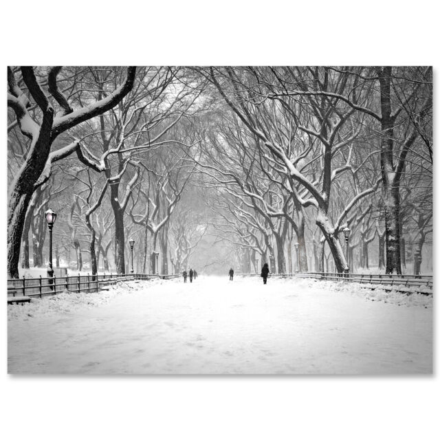 BMC-3314 Poet Walk Central Park BMC-3314 Poet Walk Central Park