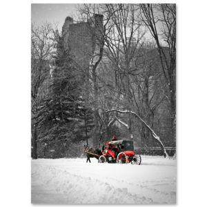 BMC-3316 red carriage in central park BMC-3316 red carriage in central park