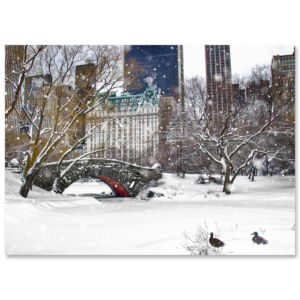 BMC-3318 Love Bridge Central Park BMC-3318 Love Bridge Central Park