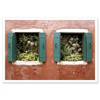 MP2968<br>Succulent Venice Italy Art Photo Decorative Print